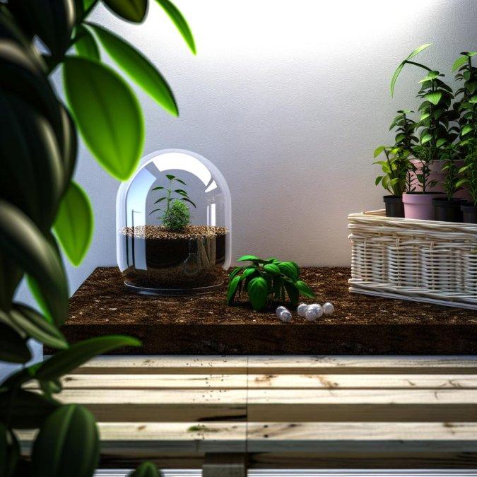Essential Care Tips for Maintaining an Indoor Smart Garden