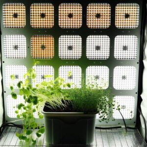Growing Fresh Herbs Year-Round with Advanced LED Technology